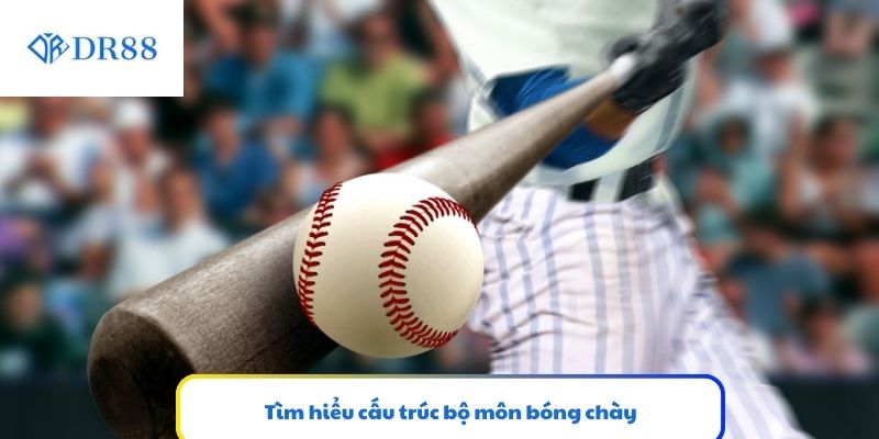 Tìm hiểu cấu trúc bộ môn bóng chày