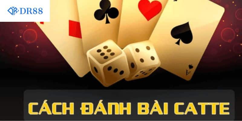 Hướng dẫn cách bài Catte đơn giản nhất